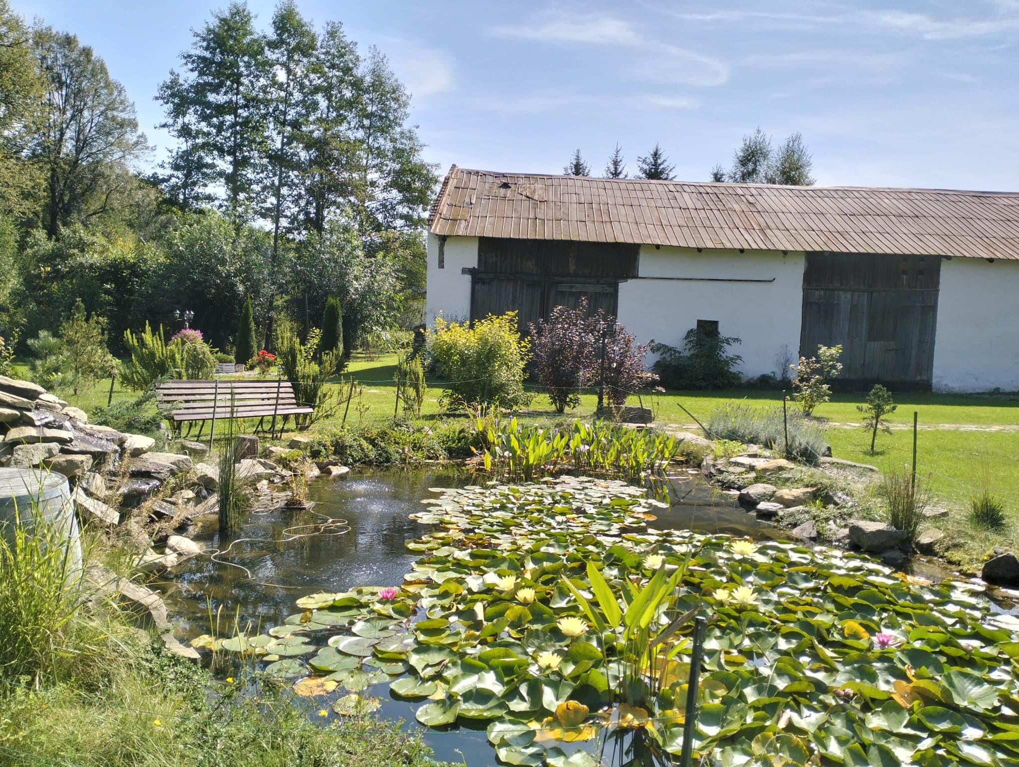 Ogród i dom 11